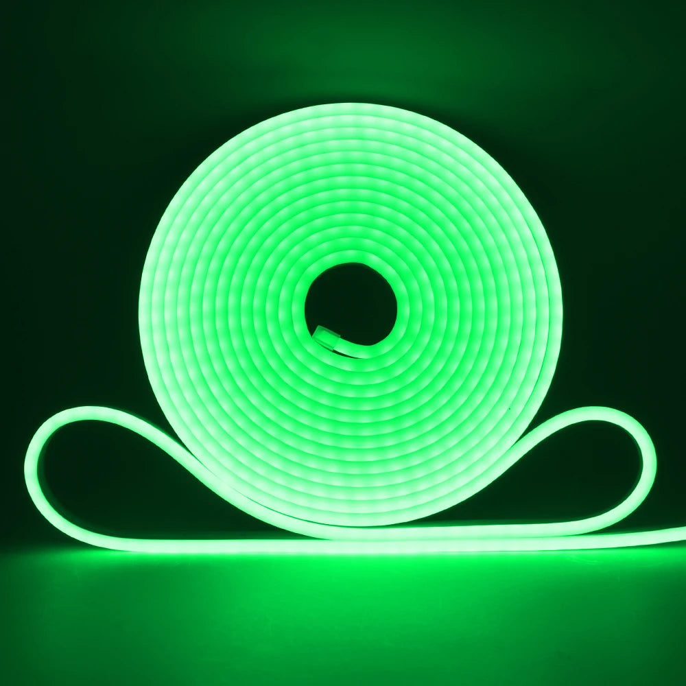 5V 12V 24V Neon LED Strip With 2Pin Wire 120LEDs/M IP67 Silicon Tube Bar