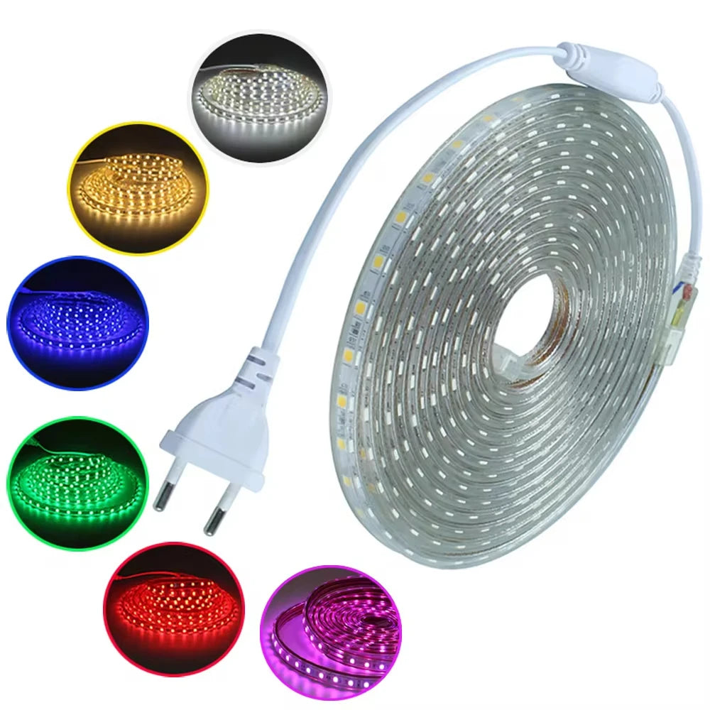 AC 220V Eu Plug In LED Strips Light SMD 5050 60LEDS/M IP65