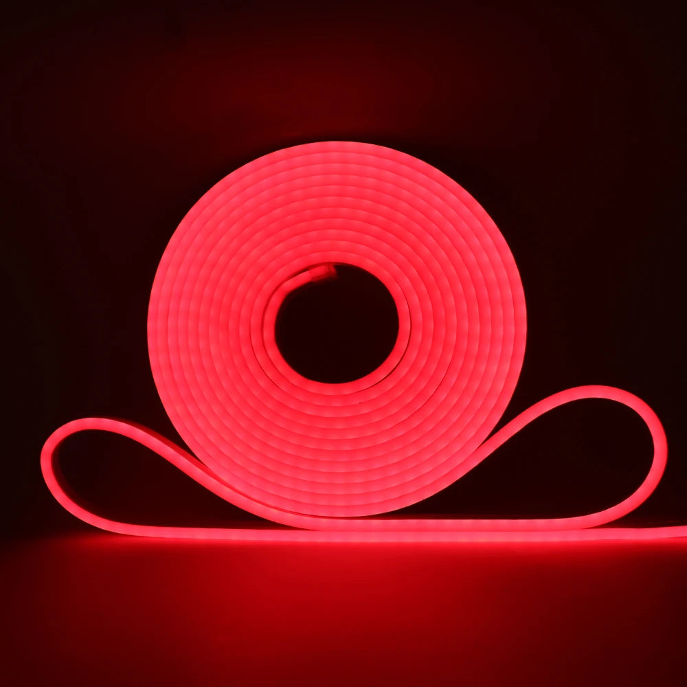5V 12V 24V Neon LED Strip With 2Pin Wire 120LEDs/M IP67 Silicon Tube Bar