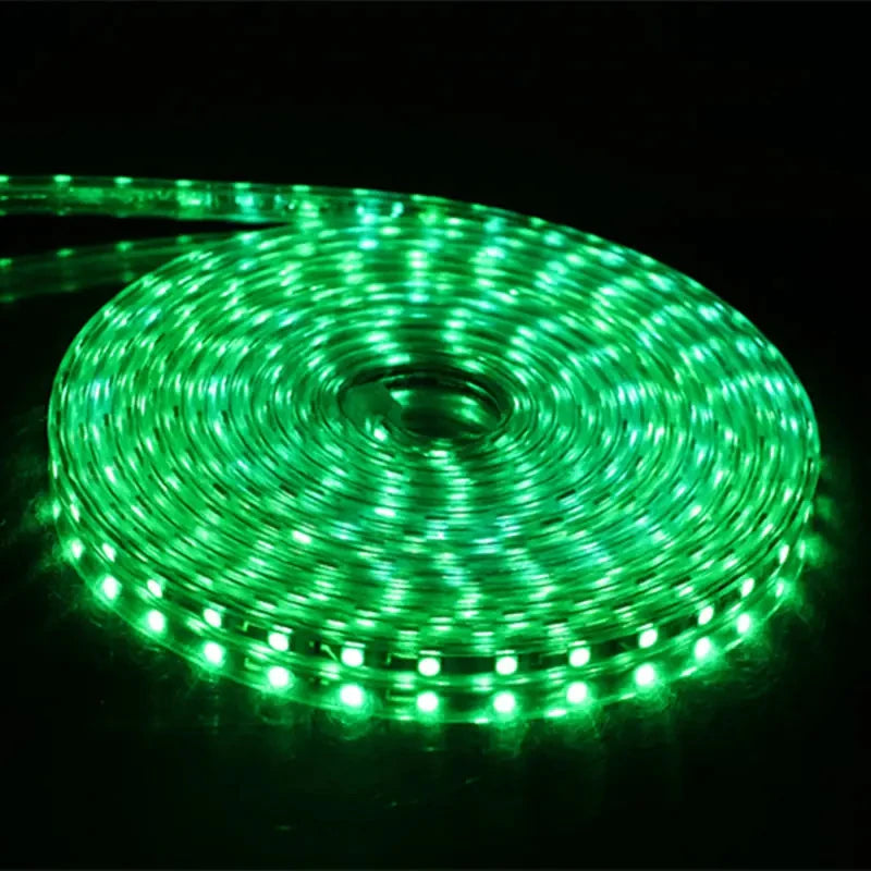 AC 220V Eu Plug In LED Strips Light SMD 5050 60LEDS/M IP65