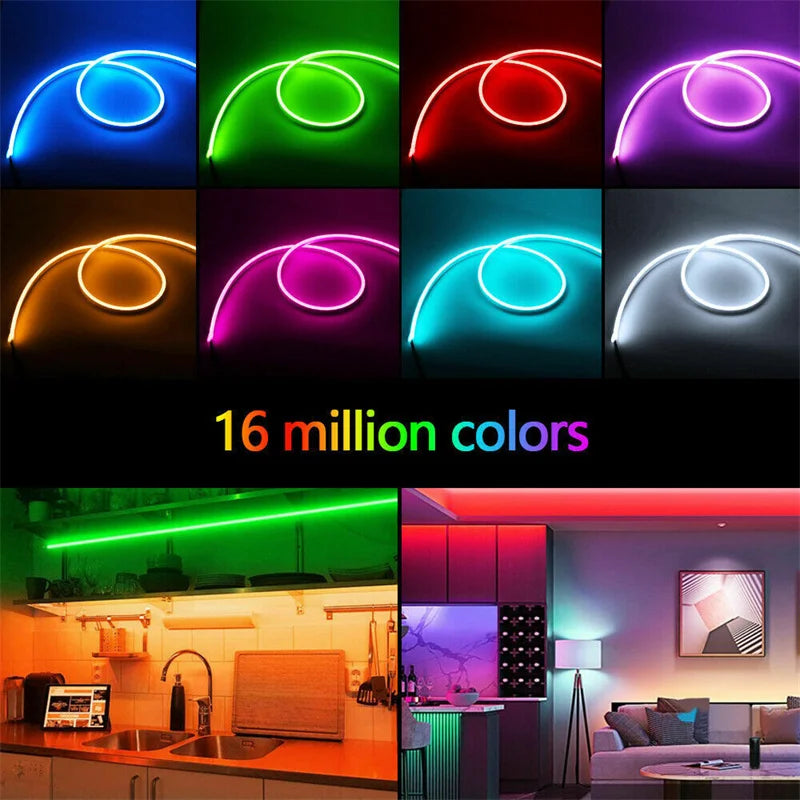 RGB LED Neon Lights with 44Keys Remote Flexible Neon Strip Lights