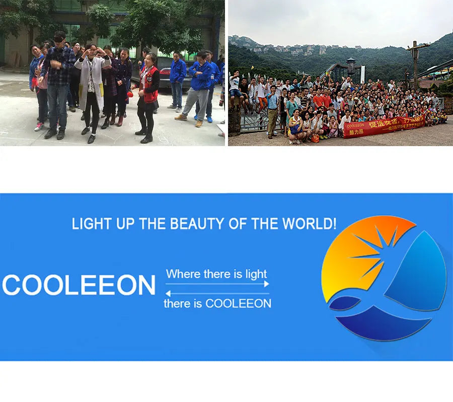 Tuya Wifi RGB-IC COB LED Strip Dream RGB Color Smart Life