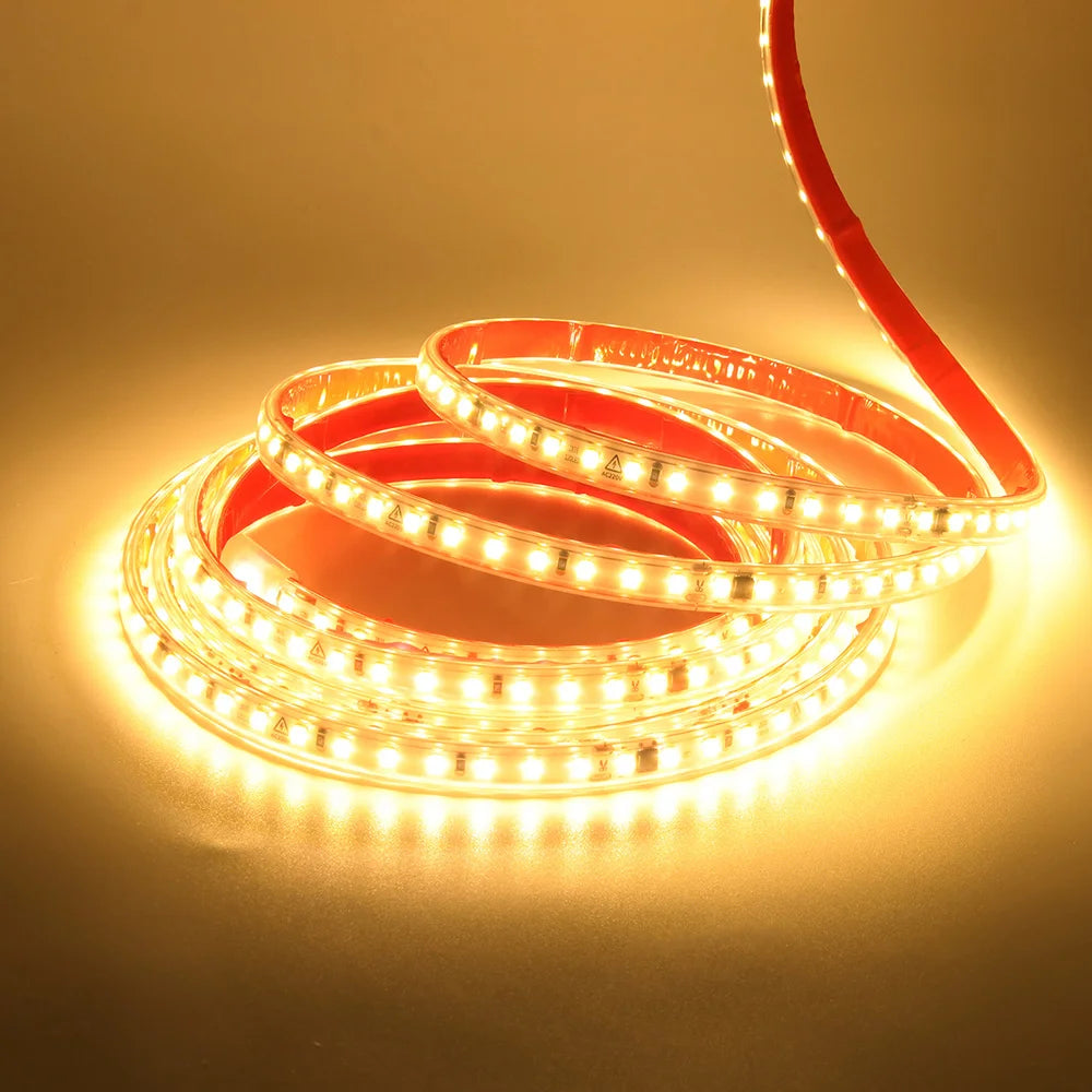 Dimmable 220V 2835 Led Strip Light with Dimmer Switch Adhesive Tape