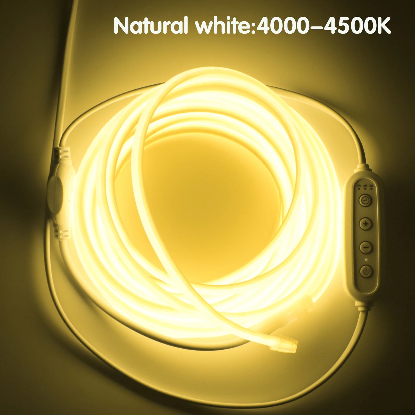 AC 220V/110V Timing Dimmable COB Neon Strip Decor