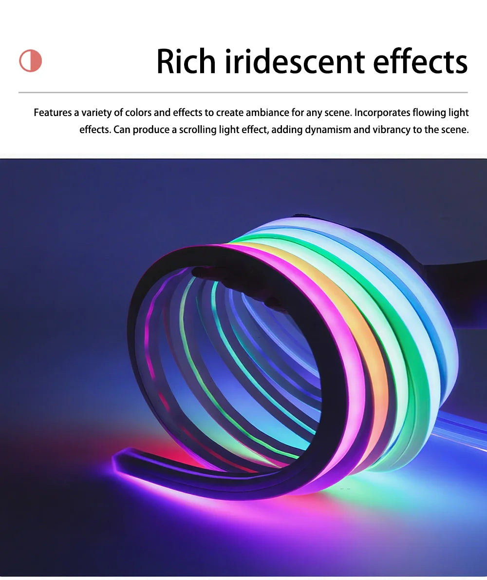 Tuya Wifi Plug RGBIC LED Neon Strip Lights Decoration Lighting