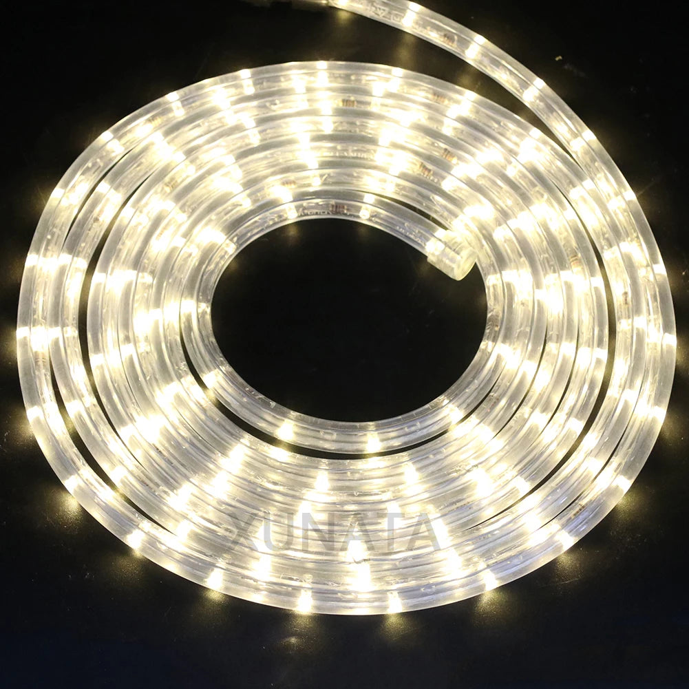 220V Neon Strip Light 360 Rainbow Tube Flex Neon Sign