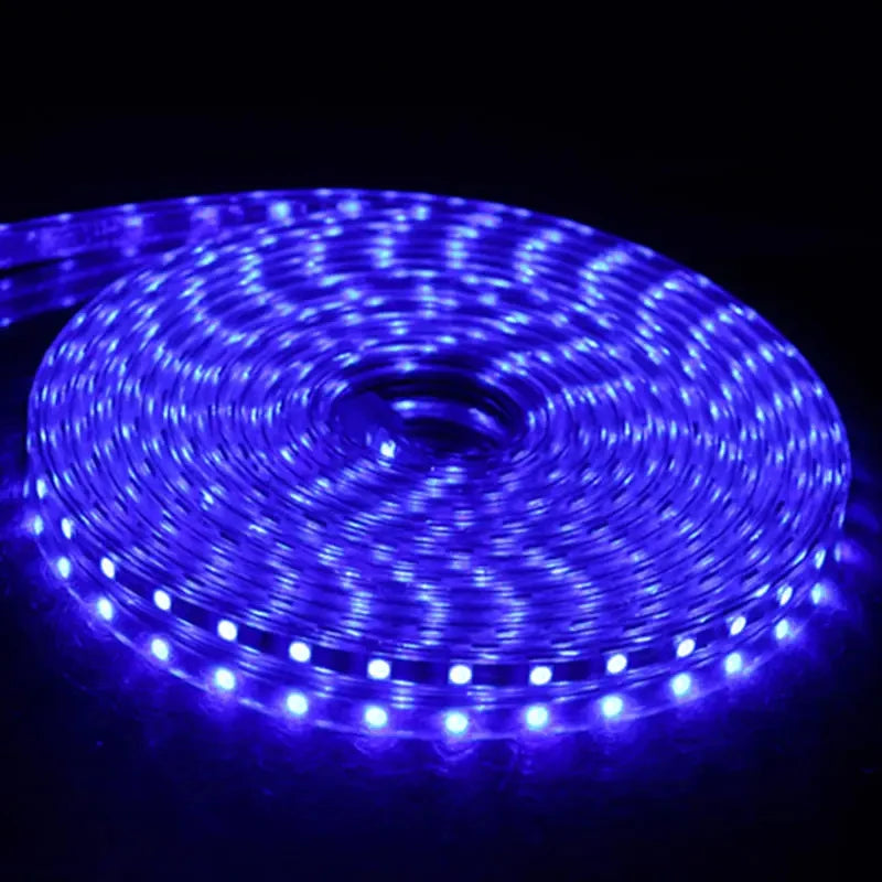 AC 220V Eu Plug In LED Strips Light SMD 5050 60LEDS/M IP65