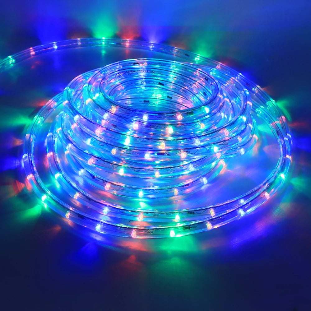 220V Neon Strip Light 360 Rainbow Tube Flex Neon Sign