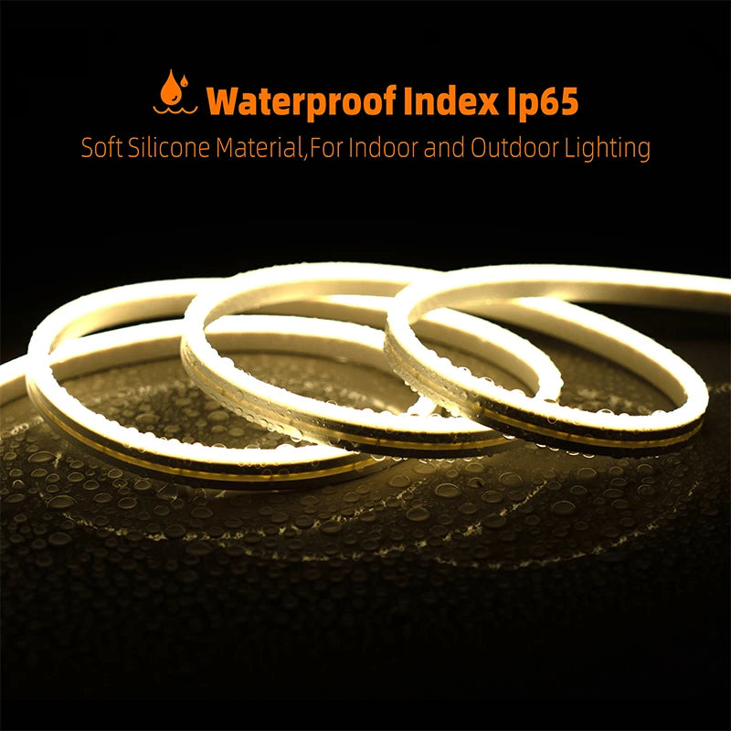 EU plug 12V/24V Neon Strip 1/2/3/5/10M Neon LED Strip Lighting