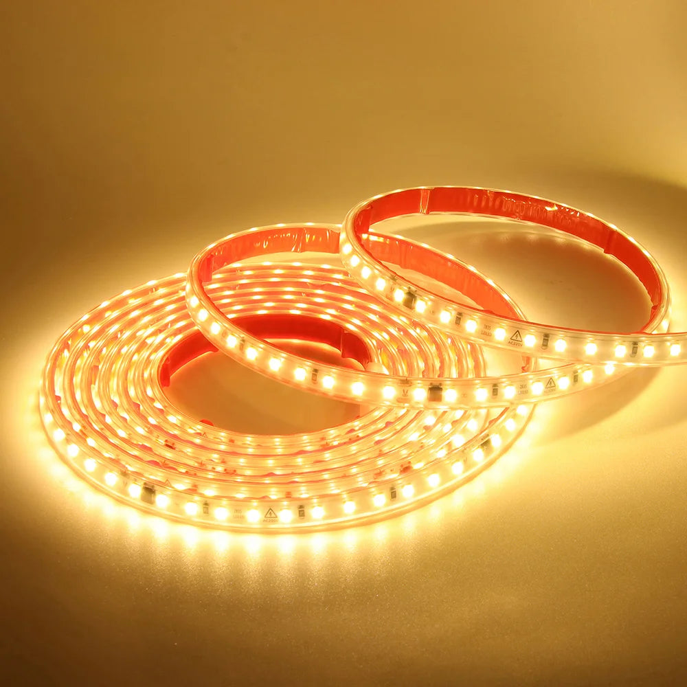 Dimmable 220V 2835 Led Strip Light with Dimmer Switch Adhesive Tape