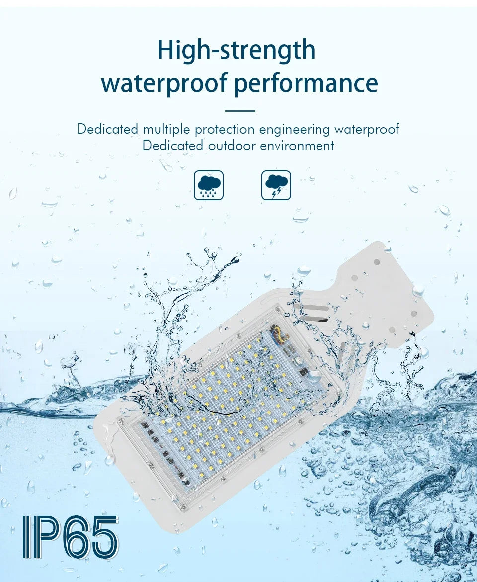 100W LED Street Light 110V 220V High Quality Outdoor Garden