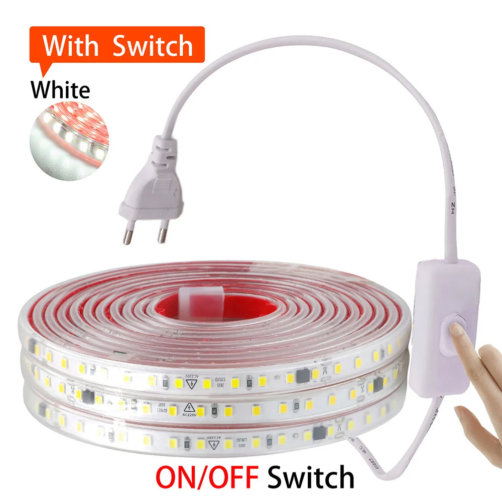 Dimmable 220V 2835 Led Strip Light with Dimmer Switch Adhesive Tape