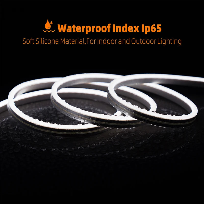 EU plug 12V/24V Neon Strip 1/2/3/5/10M Neon LED Strip Lighting