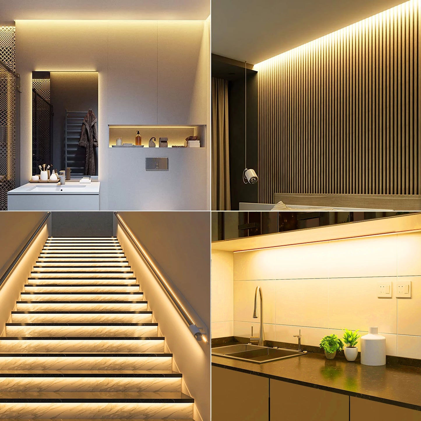 EU plug 12V/24V Neon Strip 1/2/3/5/10M Neon LED Strip Lighting