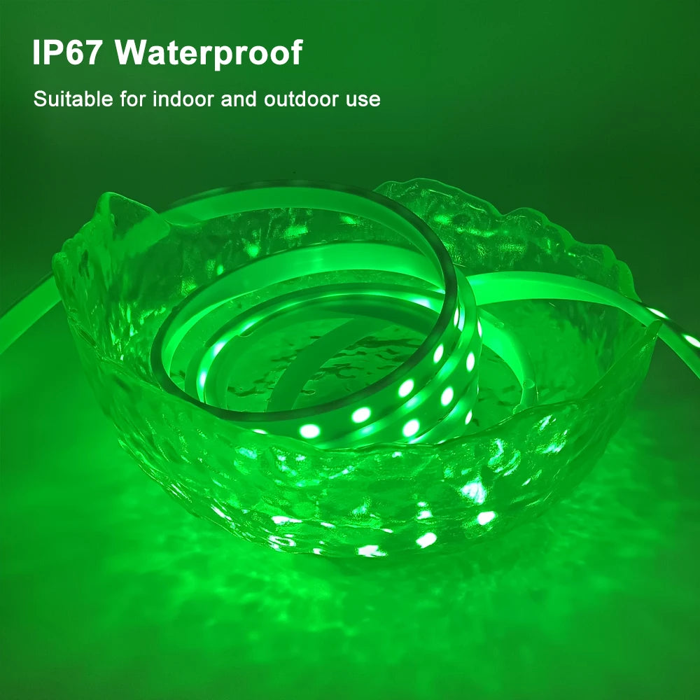 WS2812B LED Strip Individually Addressable IP67 Waterproof