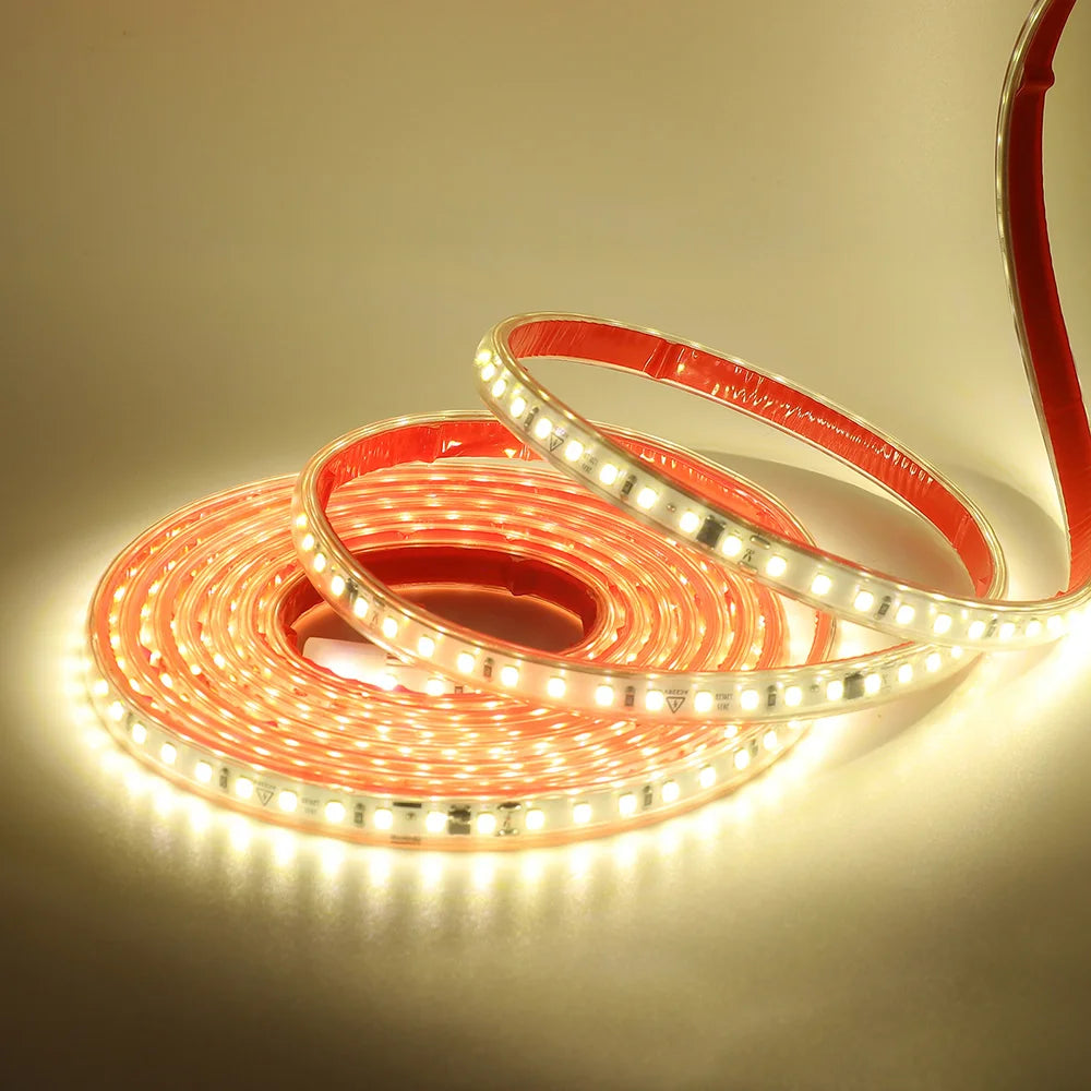 Dimmable 220V 2835 Led Strip Light with Dimmer Switch Adhesive Tape