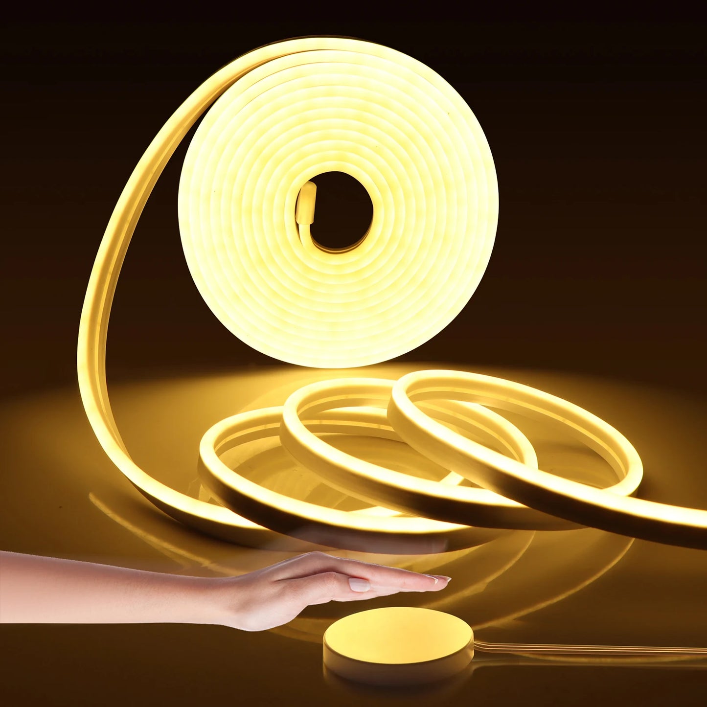 EU plug 12V/24V Neon Strip 1/2/3/5/10M Neon LED Strip Lighting