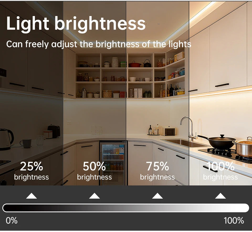 Tuya Smart Life APP wifi 24V COB LED Strip Light Neon