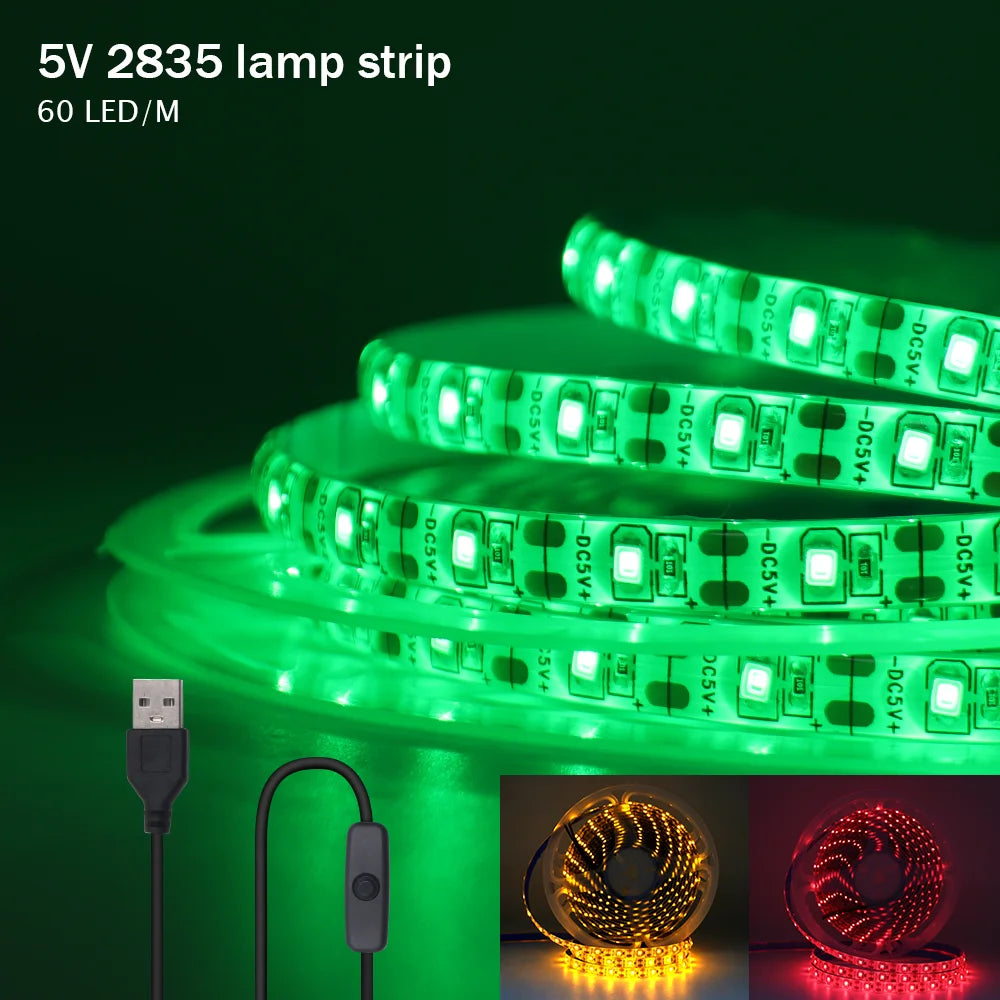 LED Strip Light USB 60Leds/m Flexible Led Tape for Room Decor