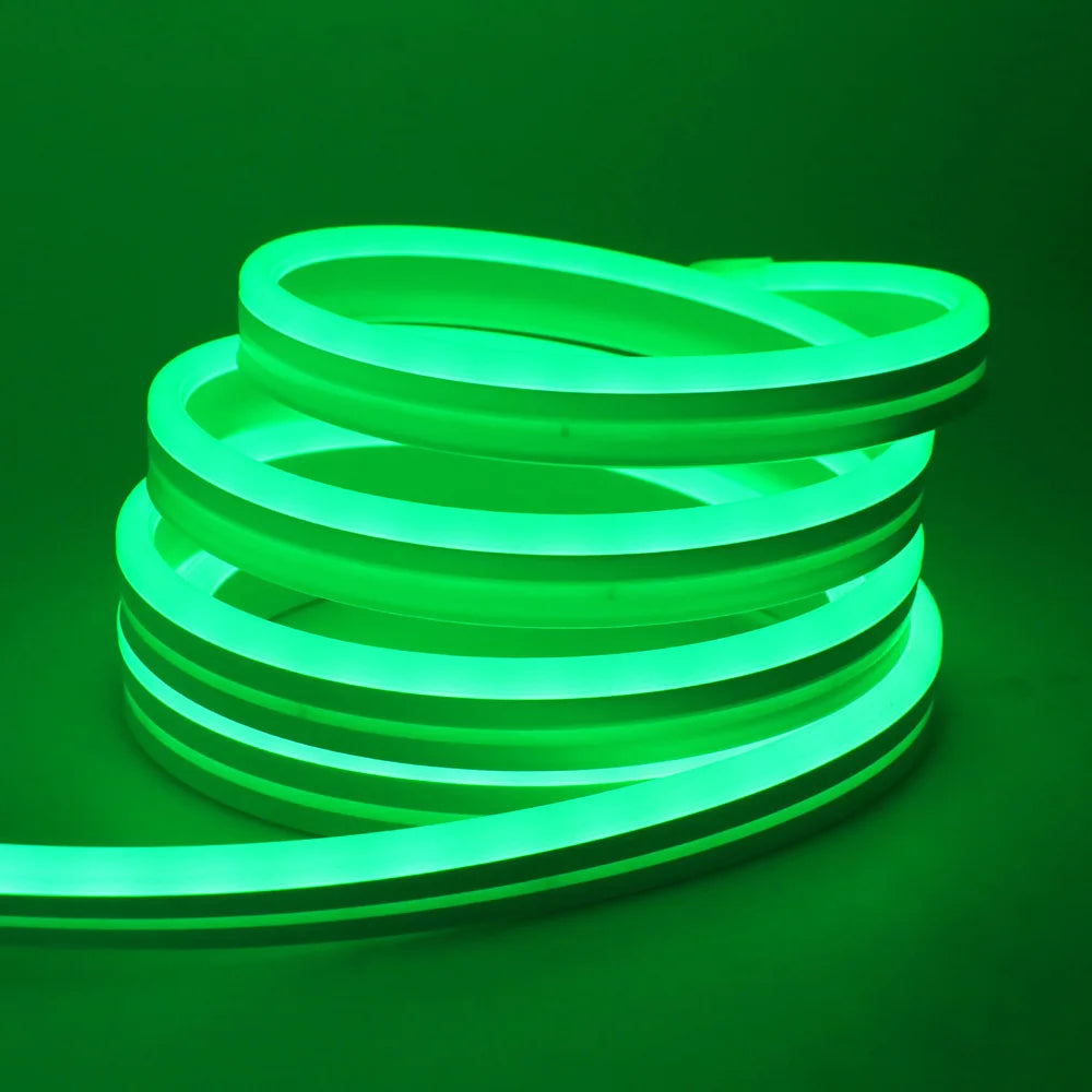 EU Plug DC24V 3535 RGB Neon LED Strip Bluetooth Music Sync