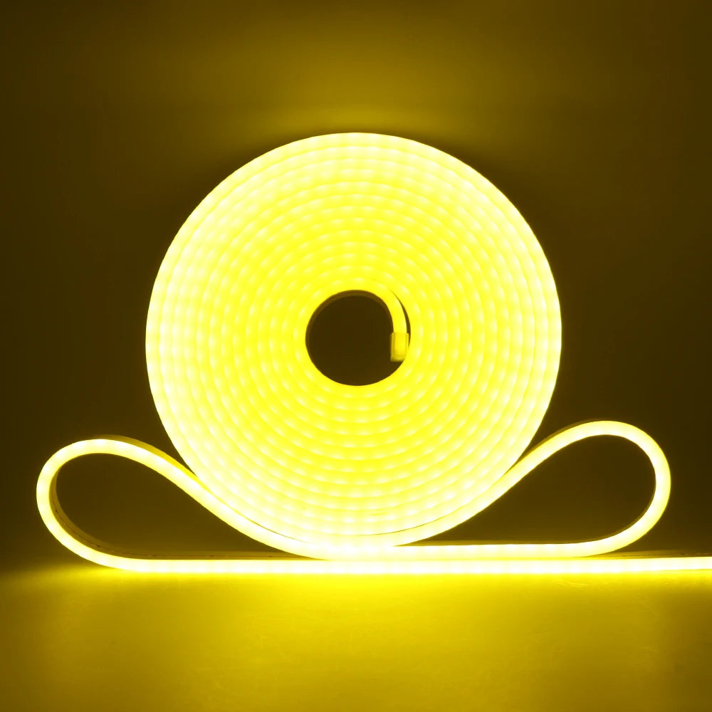 5V 12V 24V Neon LED Strip With 2Pin Wire 120LEDs/M IP67 Silicon Tube Bar