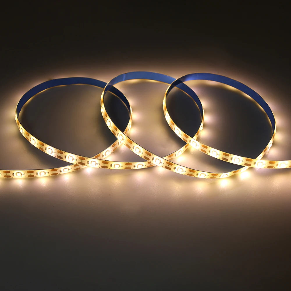 SMD2835 Solar Strip LED Lights With Remote Control Lighting
