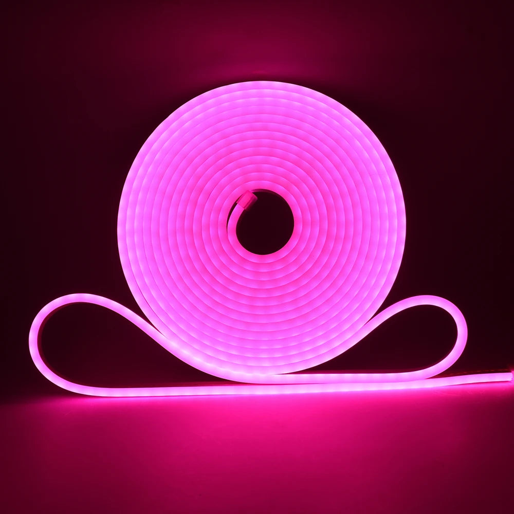 5V 12V 24V Neon LED Strip With 2Pin Wire 120LEDs/M IP67 Silicon Tube Bar