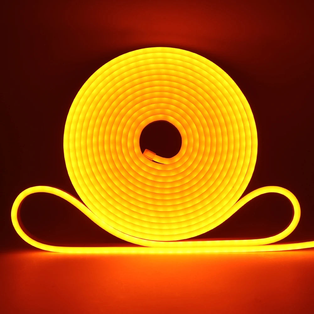 5V 12V 24V Neon LED Strip With 2Pin Wire 120LEDs/M IP67 Silicon Tube Bar