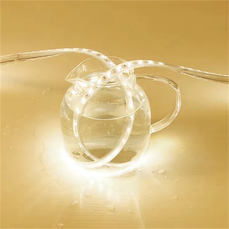 220v Led strip 2835 High Brightness 120LED/m with ON-OFF Switch