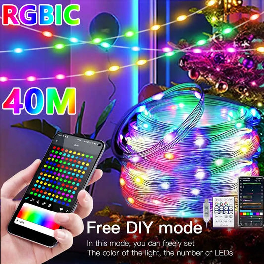 40M RGBIC LED String WS2812B Bluetooth USB Music Dream Color Light