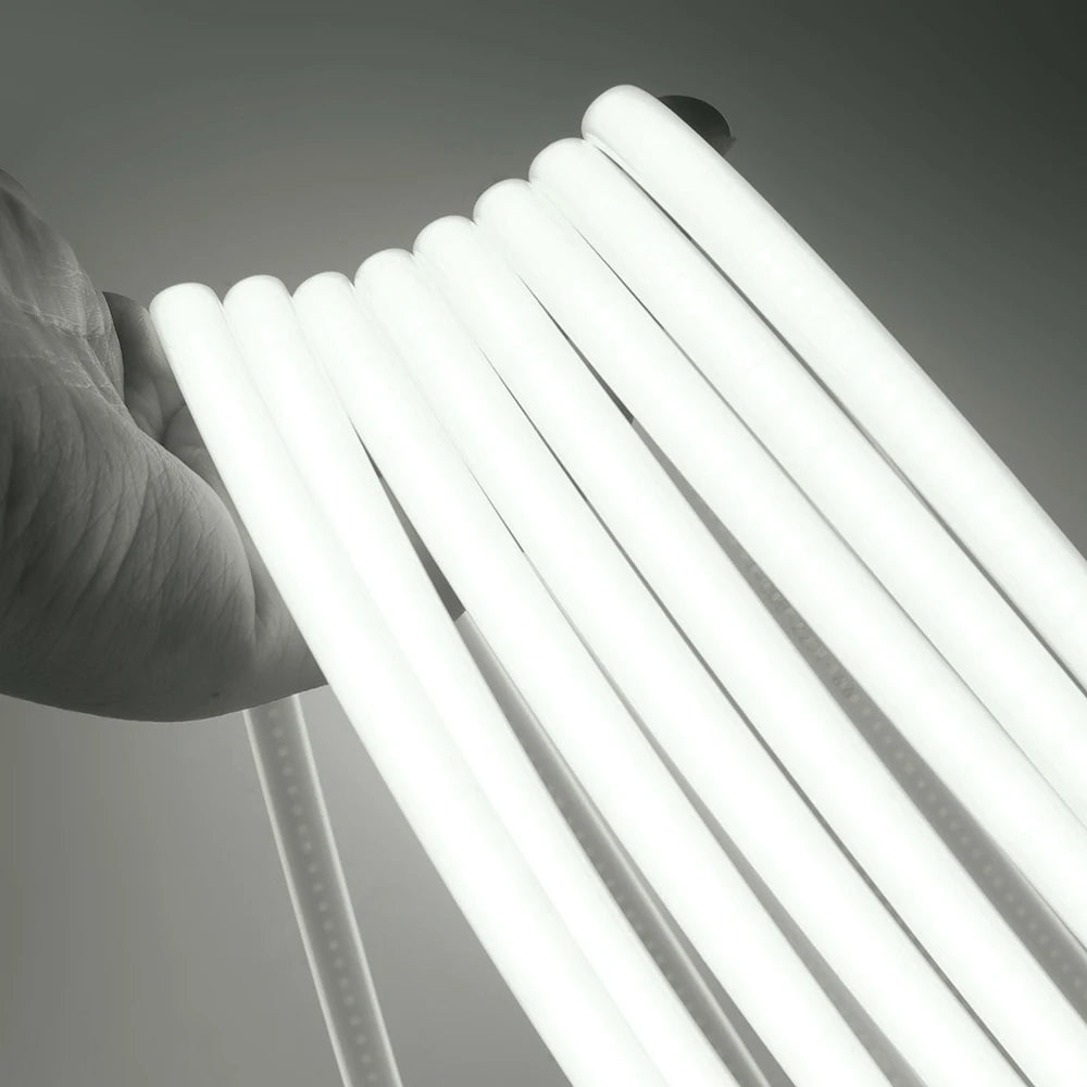 220V Dimmable COB LED Neon Strip Light Dimmer Switch Plug
