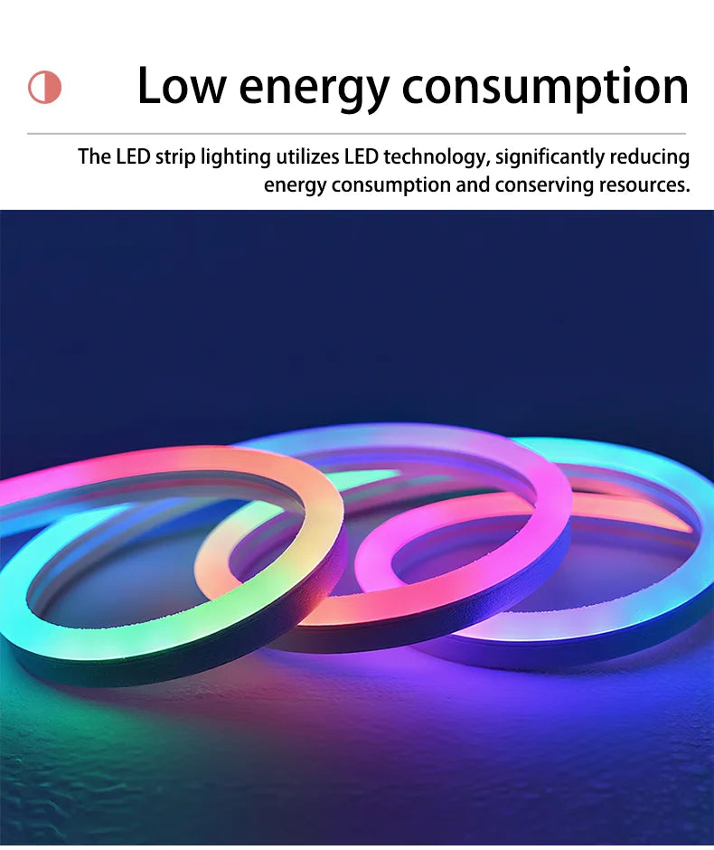 Tuya Wifi Plug RGBIC LED Neon Strip Lights Decoration Lighting