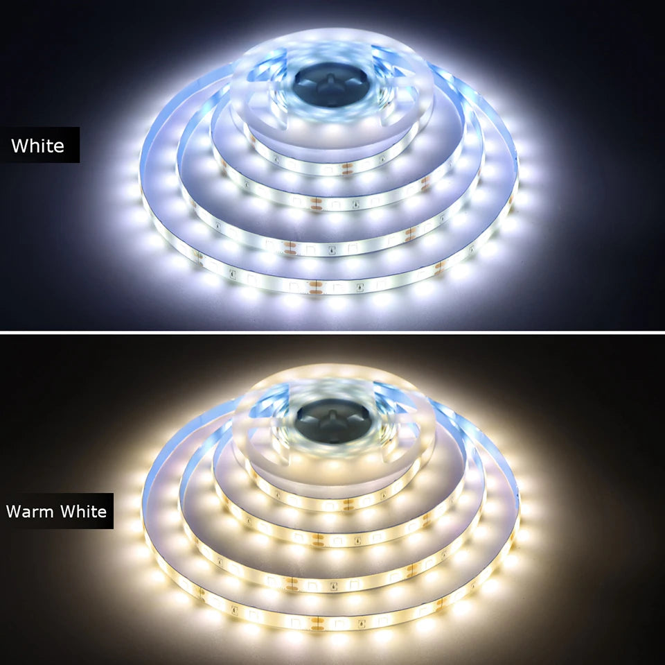 Waterproof 2835 LED Strip with 110V 220V to 12V EU US Power Adapter