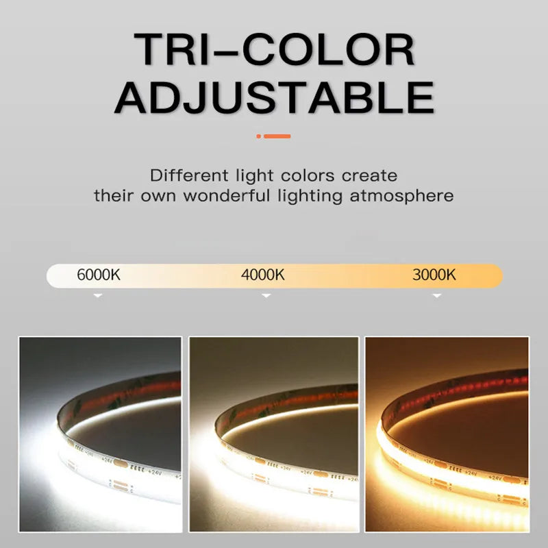 8mm Width CCT COB LED Strip Light 5V 12V 24V 2700K to 6500K Tunable