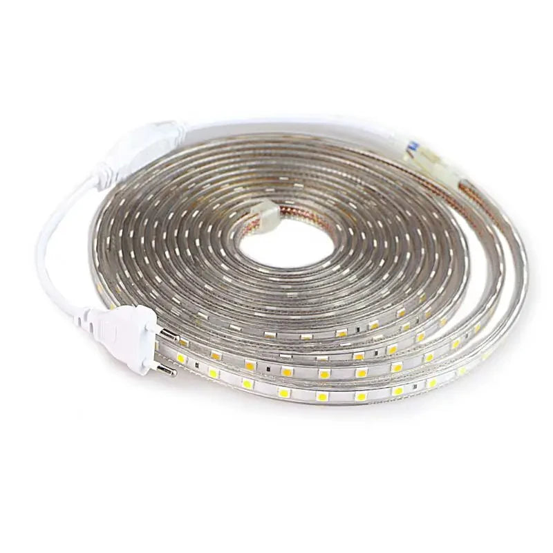 AC 220V Eu Plug In LED Strips Light SMD 5050 60LEDS/M IP65