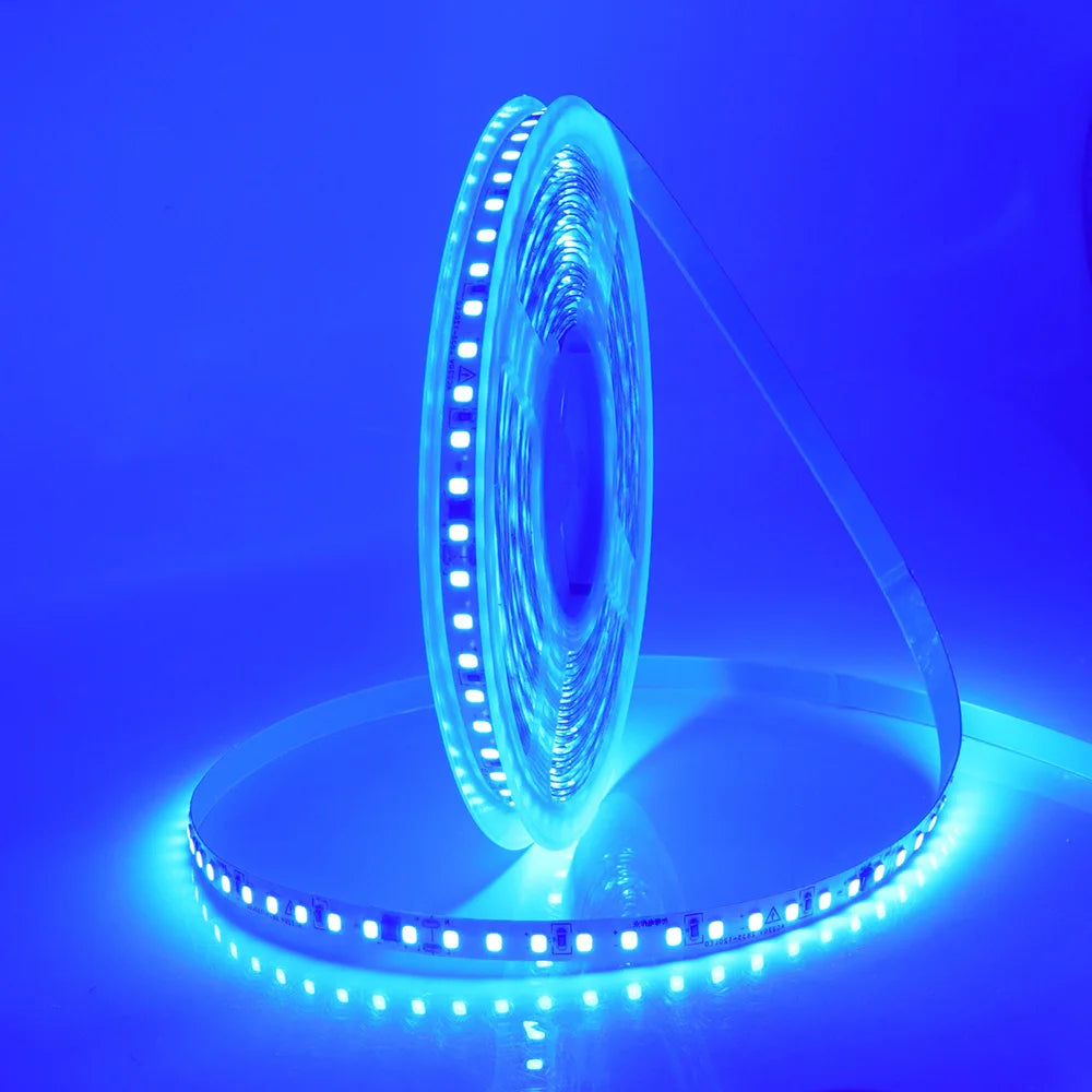5m 10m 20m 50m Led Strip Light Waterproof IP44 220V 230V
