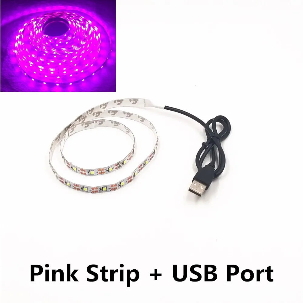 5M USB LED Strip Light SMD Ribbon Ceiling Cabinet Light