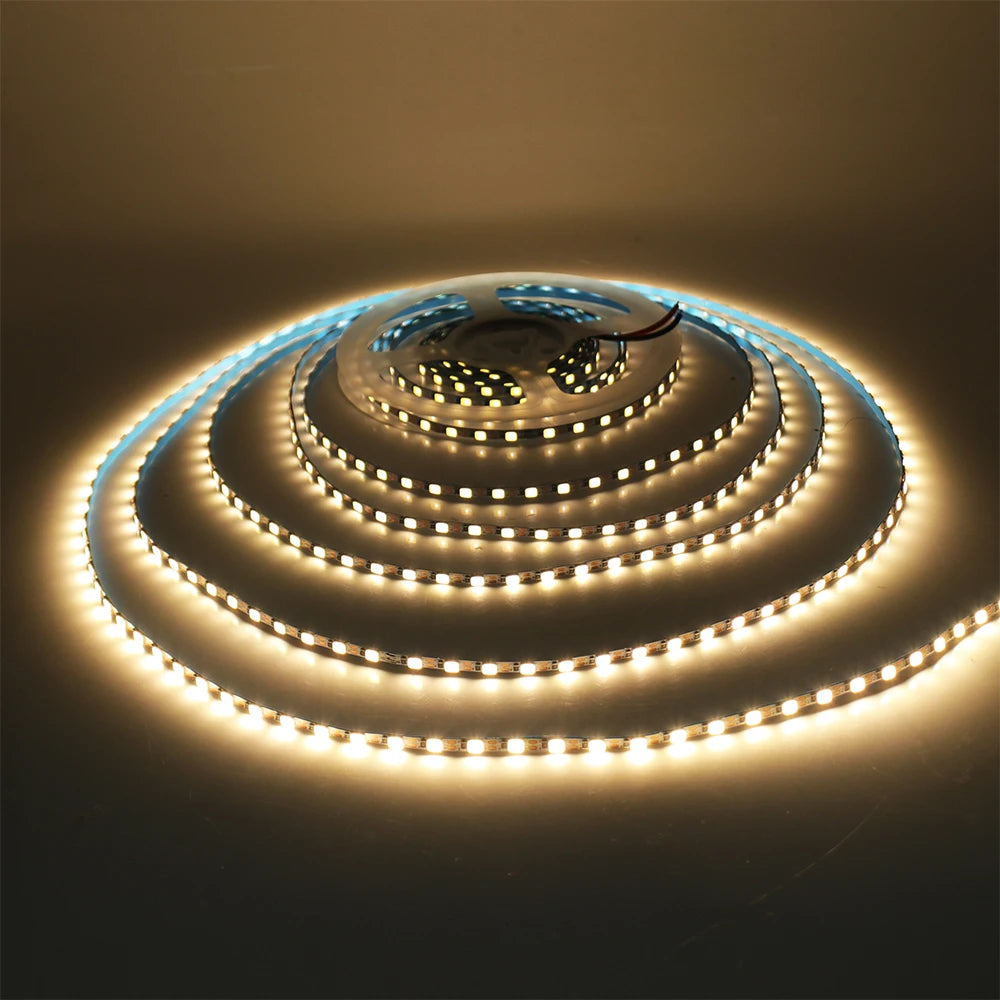DC 5V 12V 24V Led Strip SMD 2835 120 180 240 LEDs/m Diode Tape