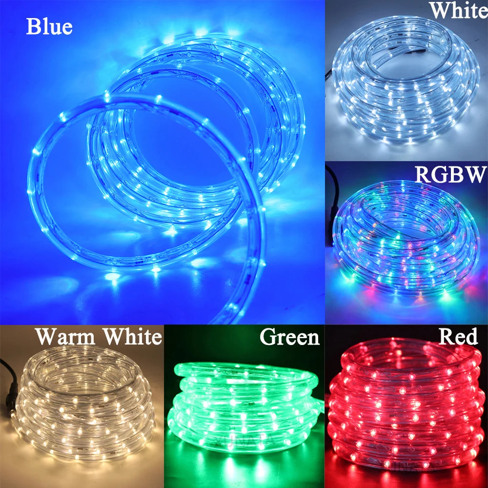220V Neon Strip Light 360 Rainbow Tube Flex Neon Sign