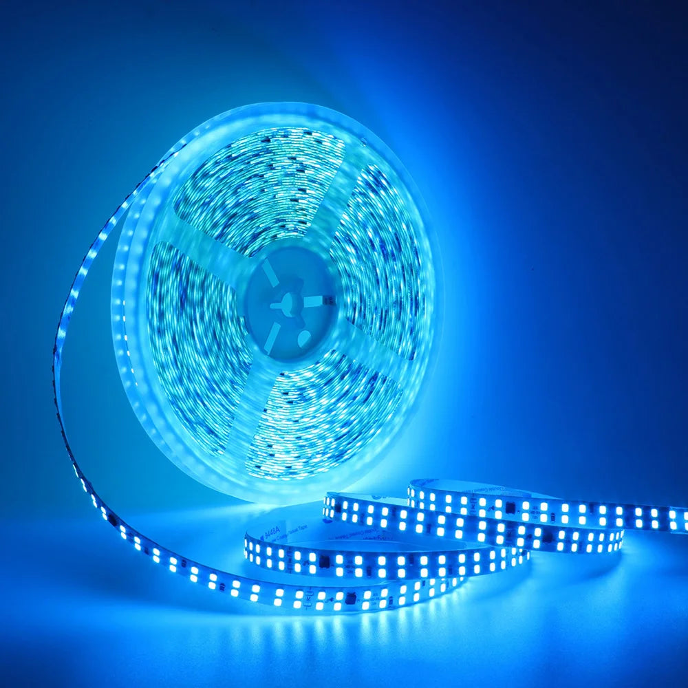 5m 10m 20m 50m Led Strip Light Adhesive Tape AC
