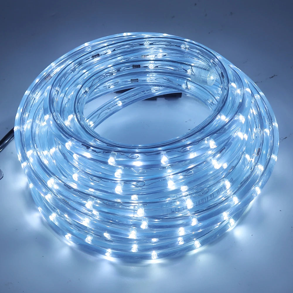 220V Neon Strip Light 360 Rainbow Tube Flex Neon Sign