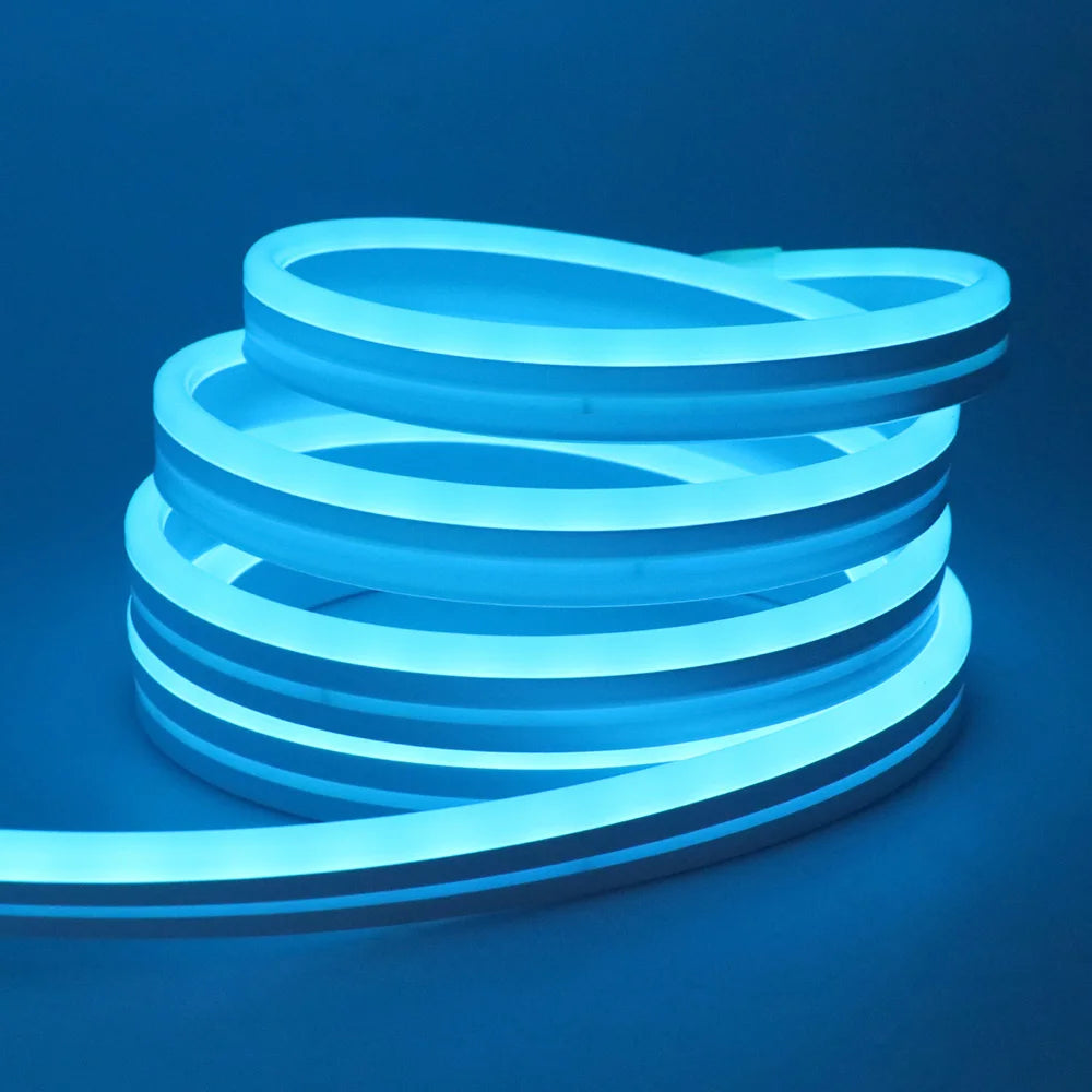 EU Plug DC24V 3535 RGB Neon LED Strip Bluetooth Music Sync