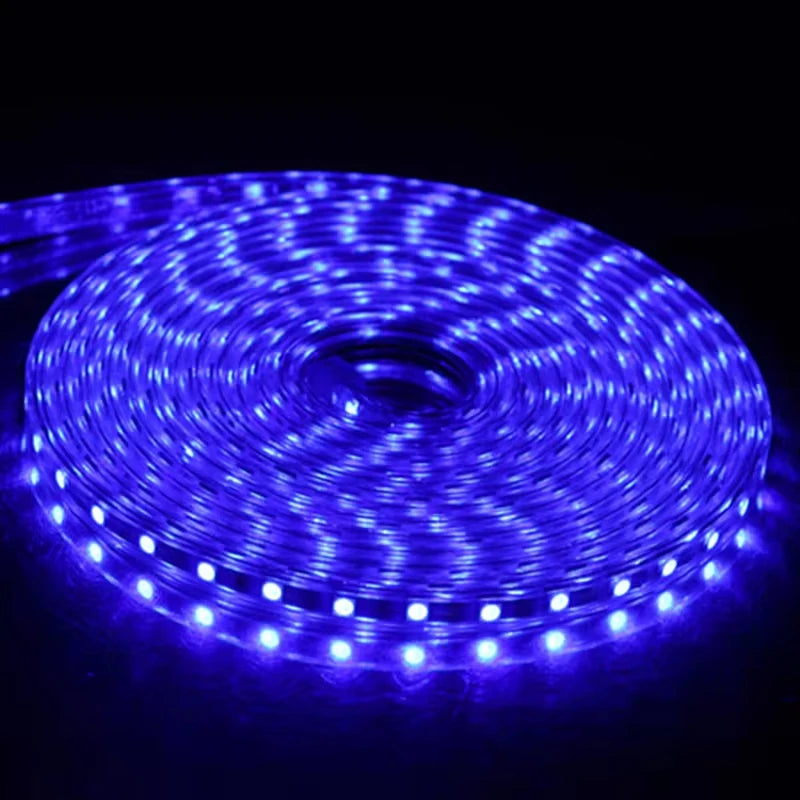 AC 220V Eu Plug In LED Strips Light SMD 5050 60LEDS/M IP65