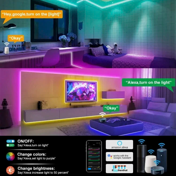 Tuya Wifi Plug RGBIC LED Neon Strip Lights Decoration Lighting