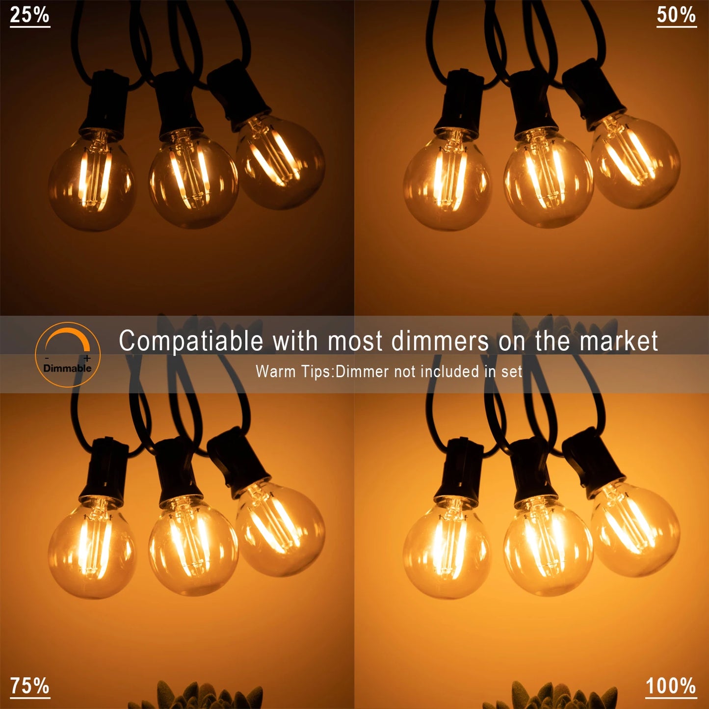 G40 Decoration Outdoor LED String Lights Amber Glass Bulb