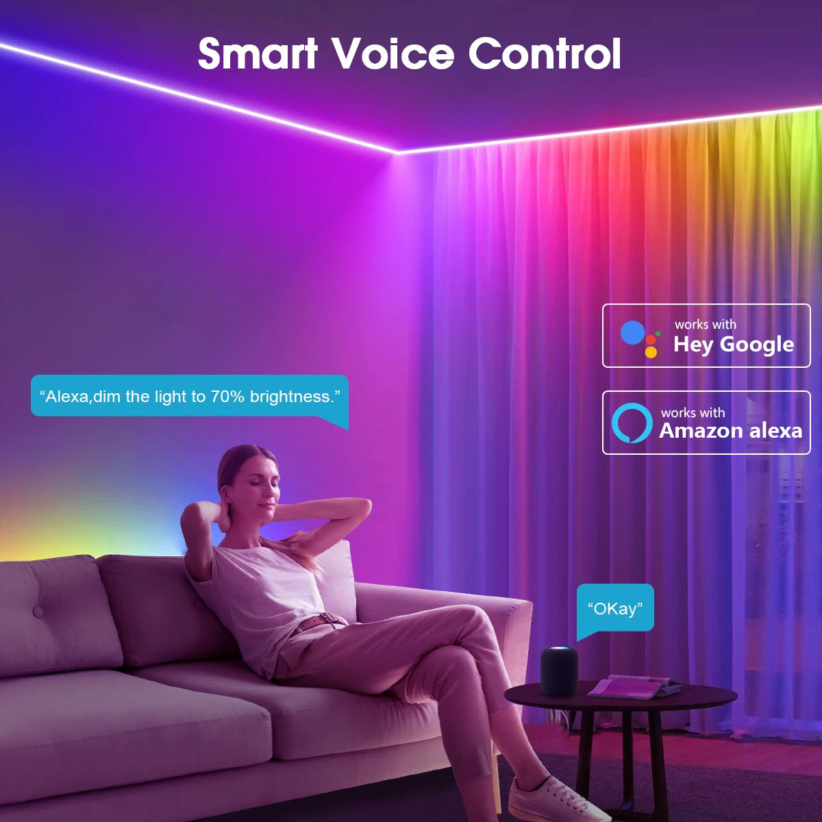 TUYA Smart DC12V RGBIC COB Strip Light Alexa