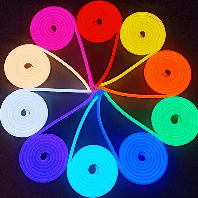 RGB LED Neon Lights with 44Keys Remote Flexible Neon Strip Lights