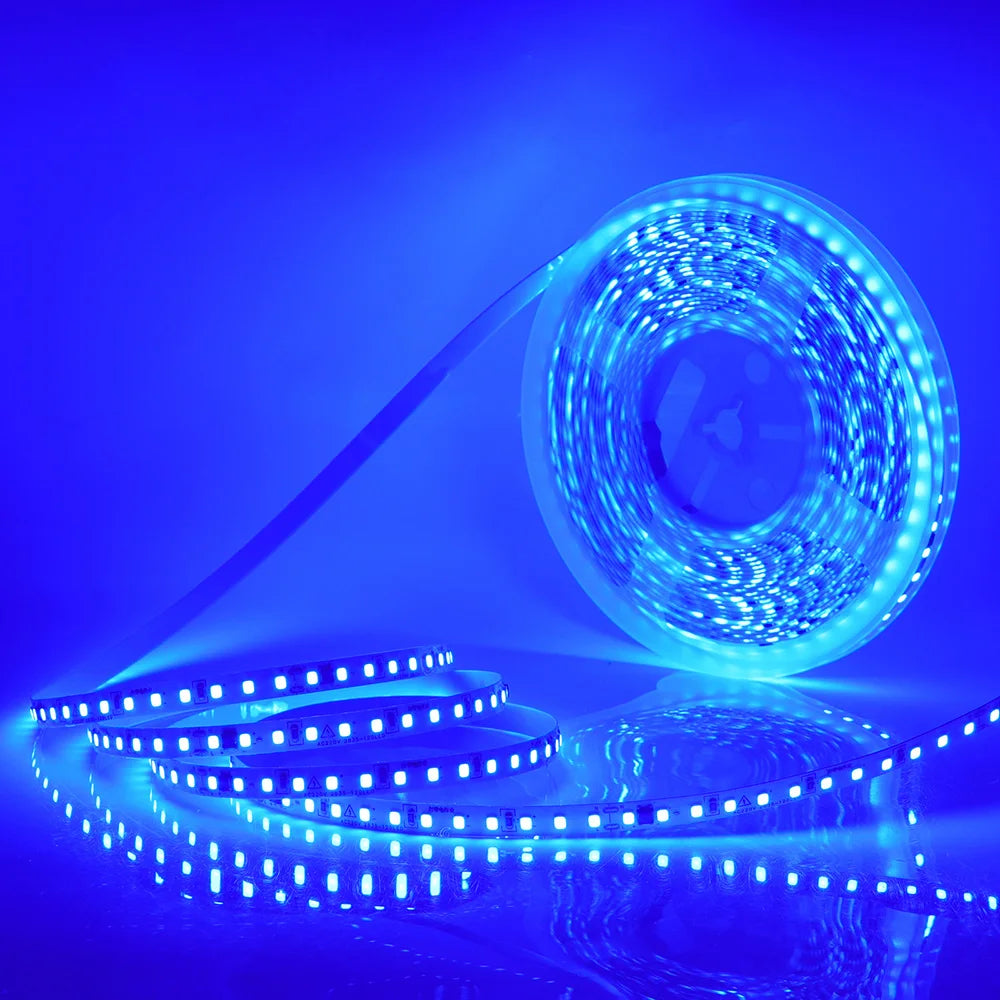 5m 10m 20m 50m Led Strip Light Waterproof IP44 220V 230V