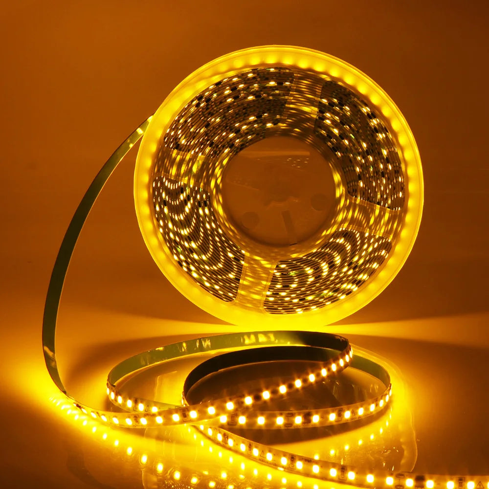 5m 10m 20m 50m Led Strip Light Waterproof IP44 220V 230V