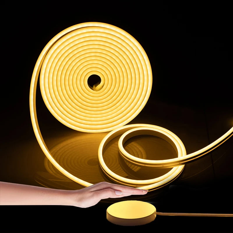 EU plug 12V/24V Neon Strip 1/2/3/5/10M Neon LED Strip Lighting